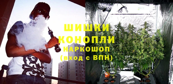 крисы Богданович