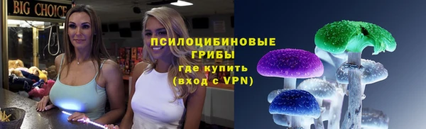 крисы Богданович