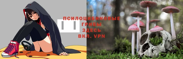 крисы Богданович
