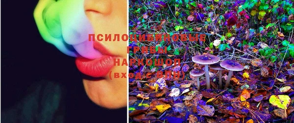 крисы Богданович