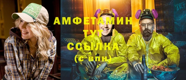 дживик Богородск