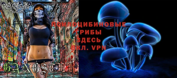 синтетический гашиш Богородицк
