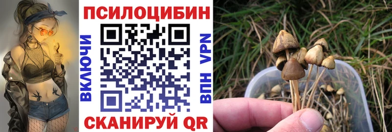 Галлюциногенные грибы MAGIC MUSHROOMS Игра